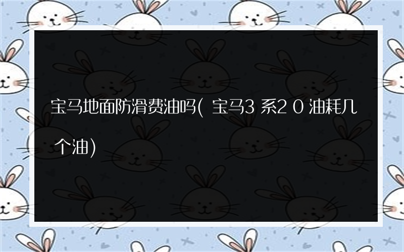 宝马地面防滑费油吗(宝马3系20油耗几个油)
